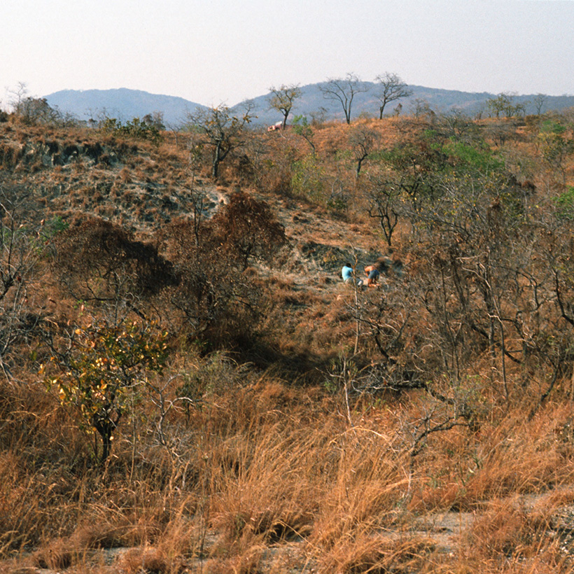 Chiwondo Beds