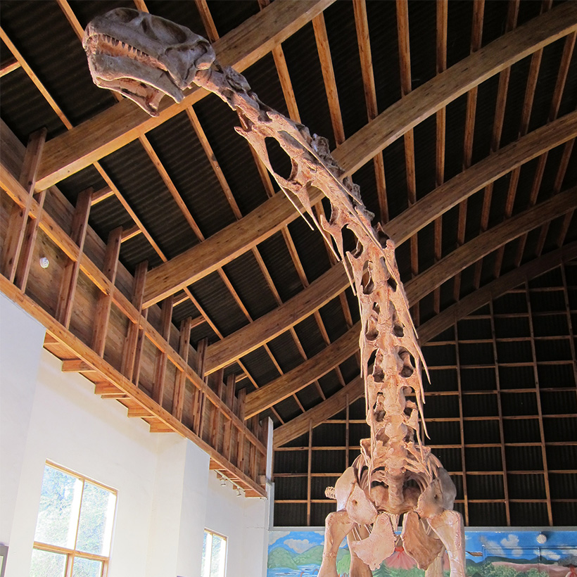 Malawisaurus
