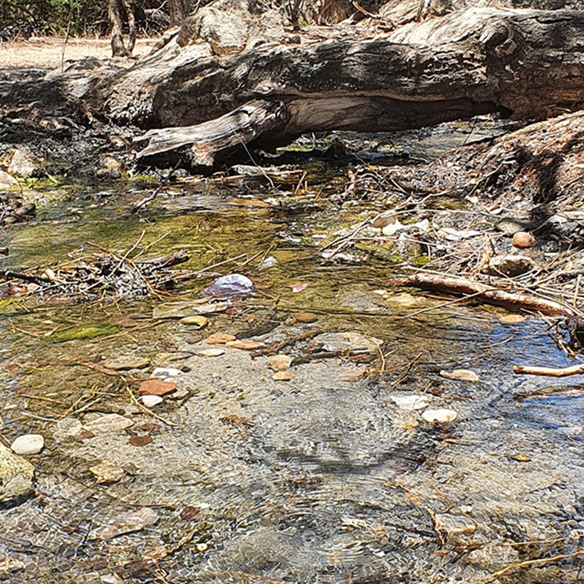 Ngara Hotspring